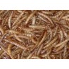 Meelwormen 500g