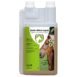 Garlic Allicin Liquid EU (Knoflook vloeibaar)