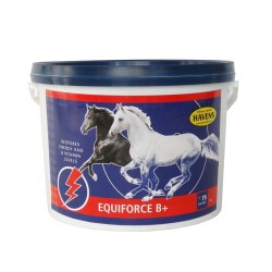 Havens Equiforce B+ (1kg)