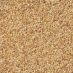 DELI NATURE MILLET GEEL 20,00 KG