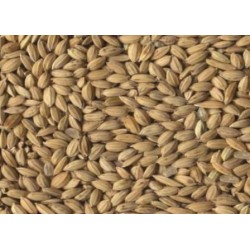 BEYERS RIJST PADDY 20,00 KG