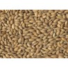 BEYERS RIJST PADDY 20,00 KG