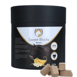 Sweet Banana Blocks 1,2 kg